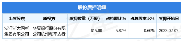 浙大网新（600797）股东浙江浙大网新集团有限公司质押615万股，占总股本0.6%