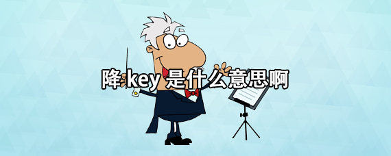 key点是什么意思啊(key是什么意思啊电脑)